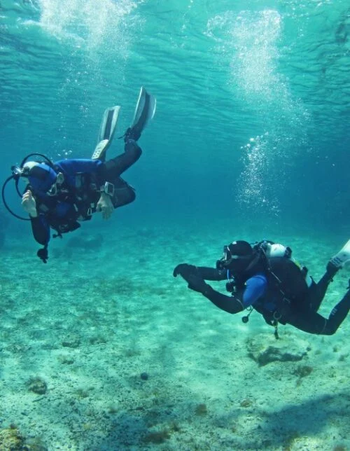 http://Scuba%20Diving